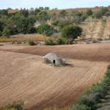 Sorti in epoche diverse, dal Medioevo al XIX secolo, i pagliari avevano funzioni legate al contesto agricolo e pastorale: da abitazione dei coltivatori a depositi di attrezzi, da luogo di sosta per le greggi a semplici stalle (nell'immagine un esemplare a Ruvo)